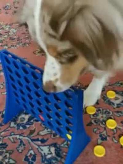 You are going down this time, human