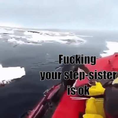 O’ Penguin of the Deep, what is your wisdom?