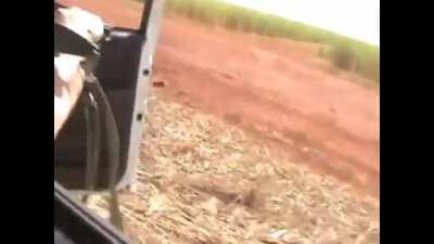 Ваш рейс задерживается