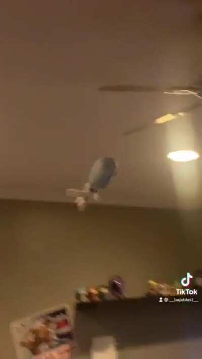 MY REI PLUSH CAME IN TODAY