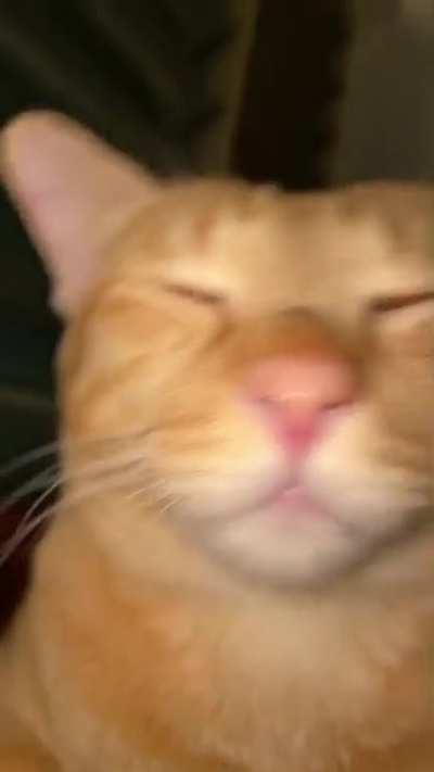 Hai korang! Harap korang boleh tolong luangkn masa sket isi survey 10 soalan pendek untuk projek akhir kolej saya! Masa dan jawapan korang amat dihargai !