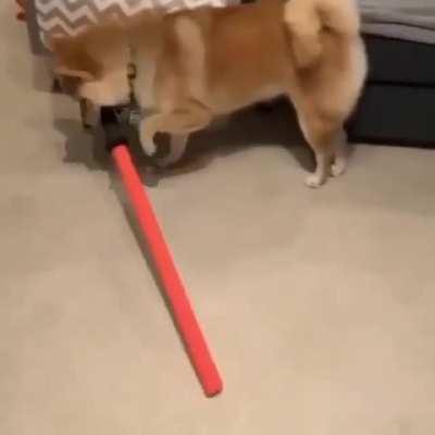 I think doge is a Sith lord.