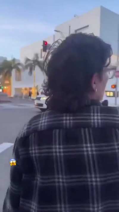 Running a red light then menacing the driver they hit