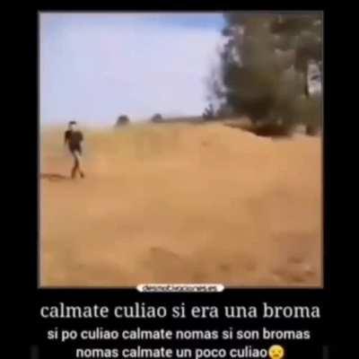 Terrible aweonao conxhe tu mare