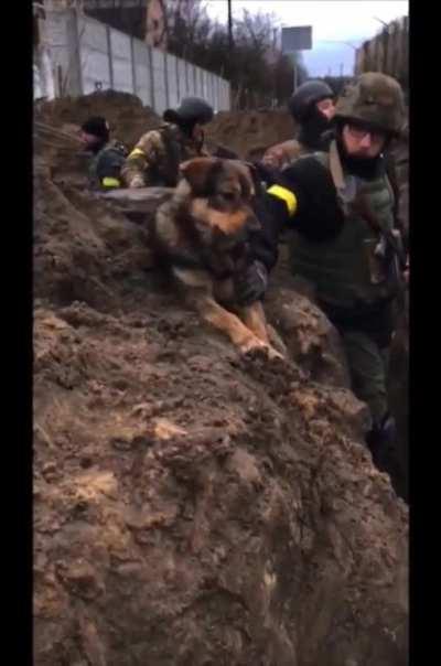 February 2022. Ukrainian forces in Gostomel prepare their ambush against the Russian forces pushing towards Kyiv