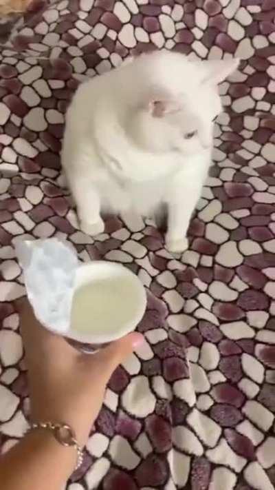 I don't think he likes