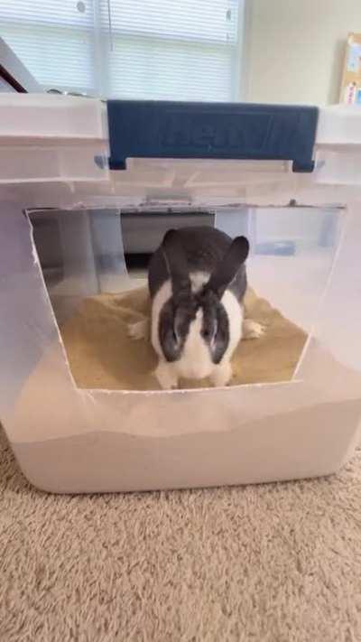 Sebastian loves his dig box