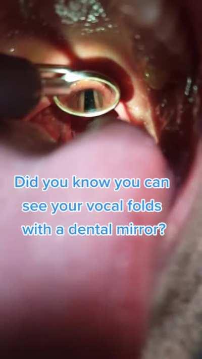 Thanks, I hate vocal folds seen from a dental mirror