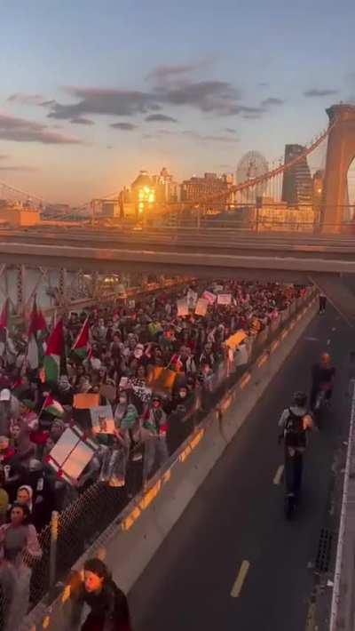 New York stands with Palestine.