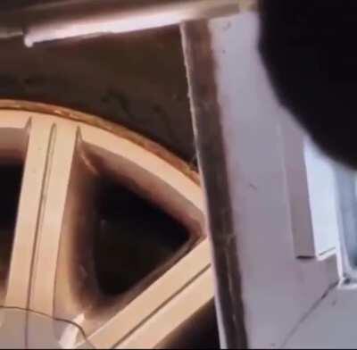 Roaring Kitty gonna whoop your ass