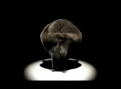 cat singing ugh (real)!!1