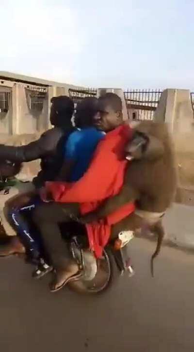 Jusy having a nice trip