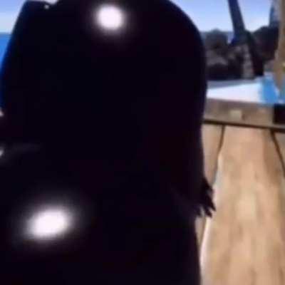 Arigameplays cuando le donan