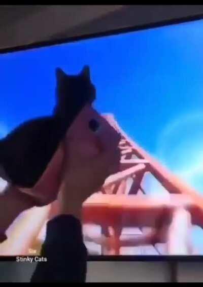 DFV (The Roaring Kitty) Thursday’s roller coaster market close tweet.