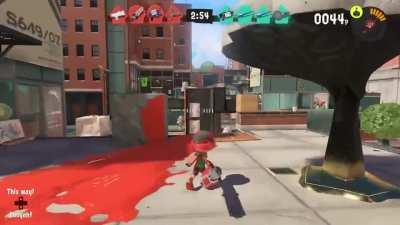 You haven't Trapped me on the Wall, I TRAPPED YOU ON THE PERCH!