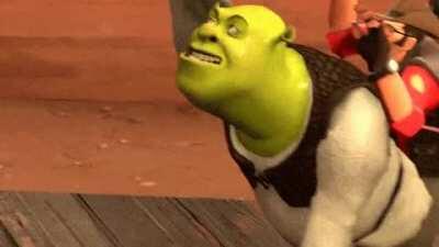 yo shrek bussin bussin