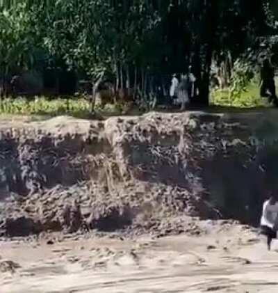 Don't outrun the tiger; just outrun your slowest friend.