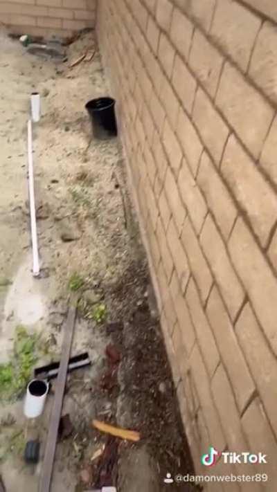 My underground people need me