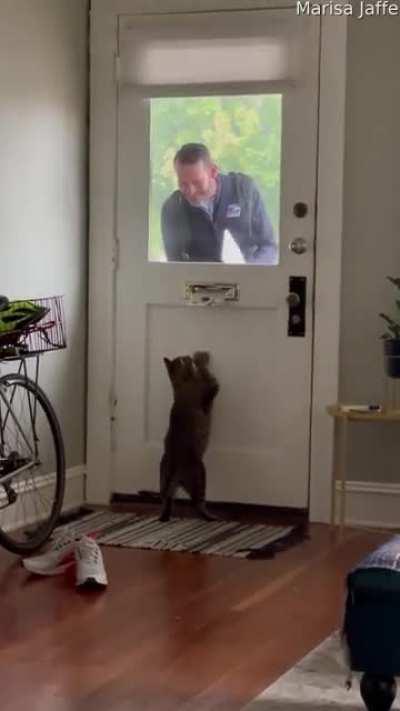 Cat greets mailman at the door