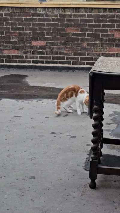 His first experience of Rain startled him!