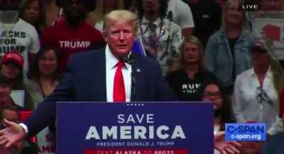 Trump calls Elon Musk a bullshit artist