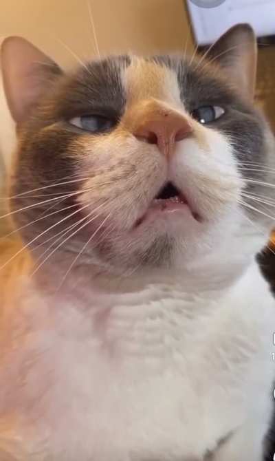 Me when drunk and trying to read text messages.