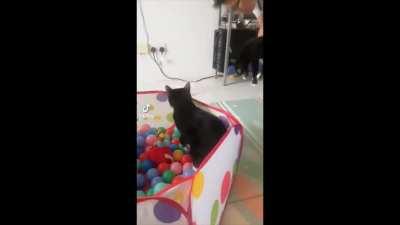 In case anyone wanted to see it with (crudely applied) sound effects