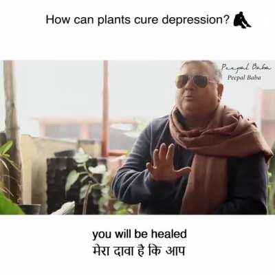 You don't need a pudi to help with d. Evidently, plants can help. See how. What do you guys think? I have seen other articles which say spending time in nature does help over all mental well-being and stress relief.