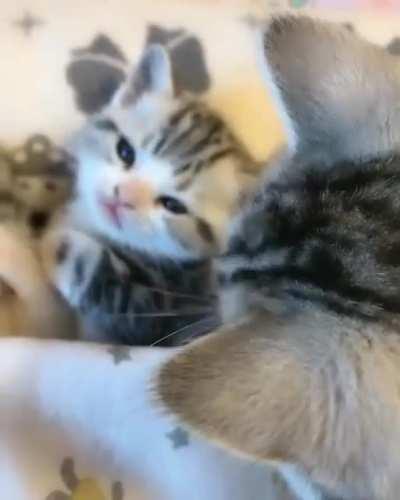 The kids are going to bed