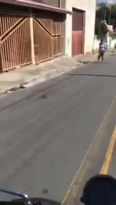 Bom dia pedrin peepoHappy