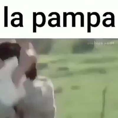 pasen el discord de Gian porfavor