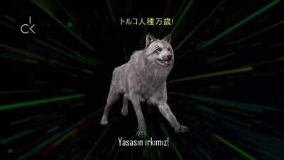 &Ccedil;in aşısından sonra