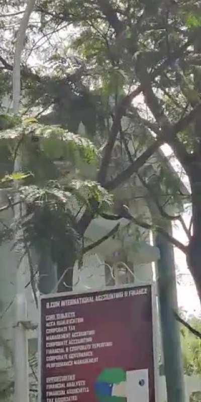 Holiday playing in my college. Hyderabad, India.