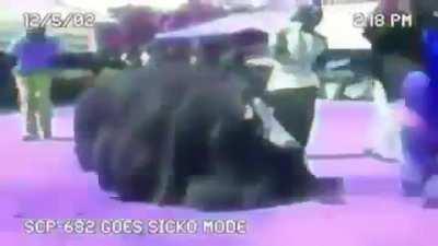 SCP-682, Clasificacion: Keter. Video del ultimo avistamiento del SCP-682. Ubicacion actual del SCP-682: Desconocido. Redaccion: Dr. Travis.