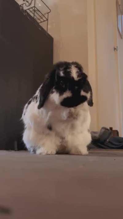 Look at Louis’ little mittens 🥰