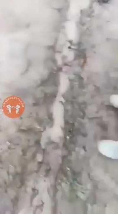 Pq os homens vivem menos?