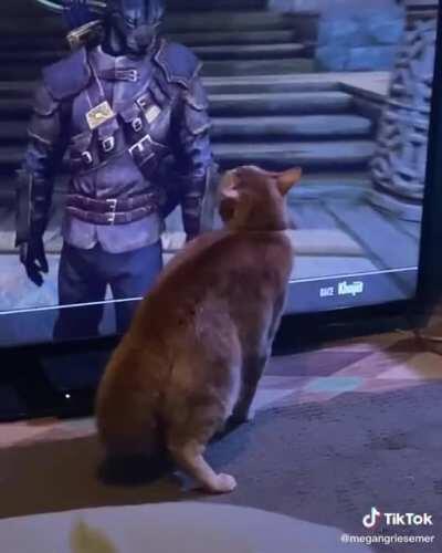 Khajiit doesn't trust those wares