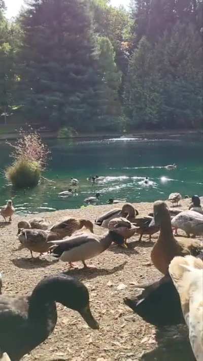 Made a friend today!