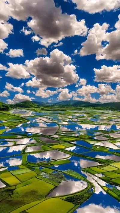 Little ponds are clear as mirrors