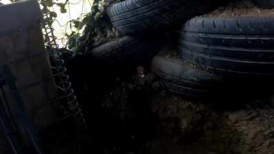 just recently got into video editing so decided to edit a few games of airsoft, heres my recent one, would be grateful for feedback!