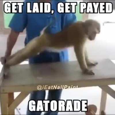 Gaytoreid 😎🤑🥵😈