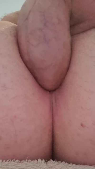 Anal GIF by blueswimmercrab18