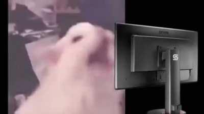 When ur playing rl in the dark and someone with the nuke goal explosion scores