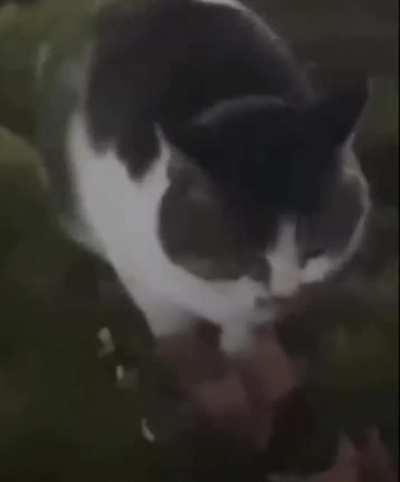 Boys and Gals it's my birthday today 