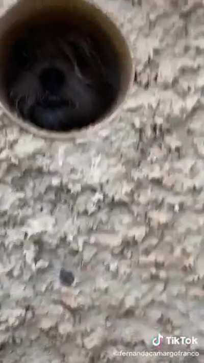 Vai pra dentro, Gabriela!