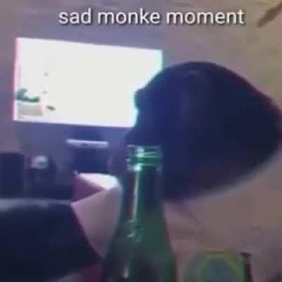 mumu e viewers atualmente