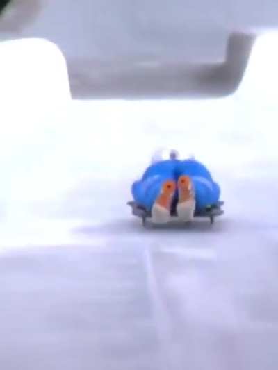 It might be a repost but it's still nice