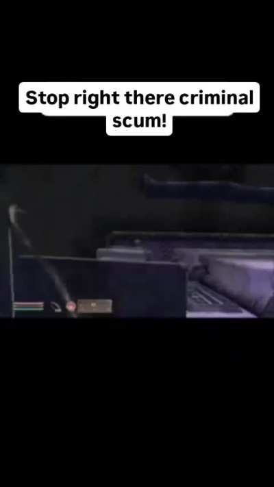 Stop Right There Criminal Scum!!