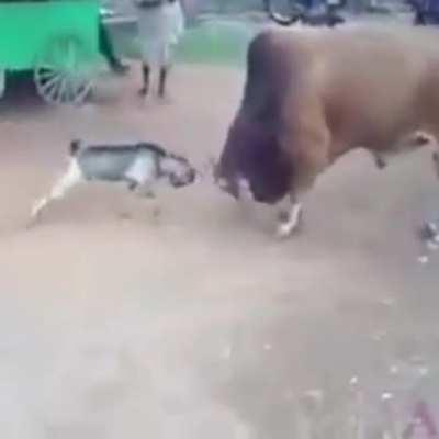 Pls tell me the name of the song in the background