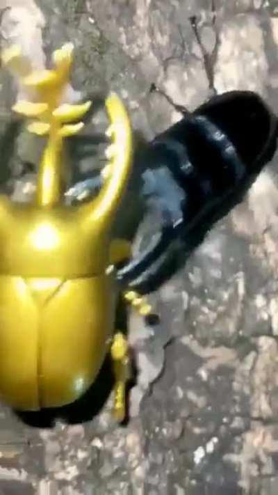 naturaleza 1 robots 0 🗿 🚬